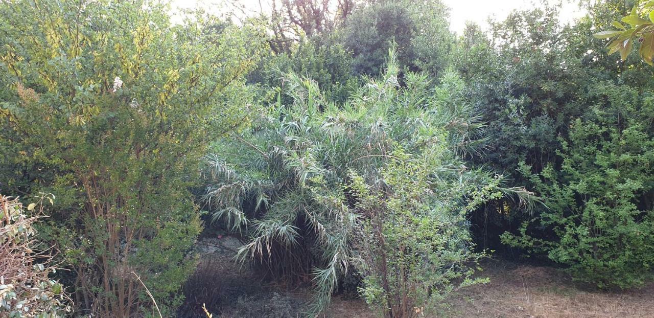 La Teze Villa Le Castellet  Eksteriør bilde