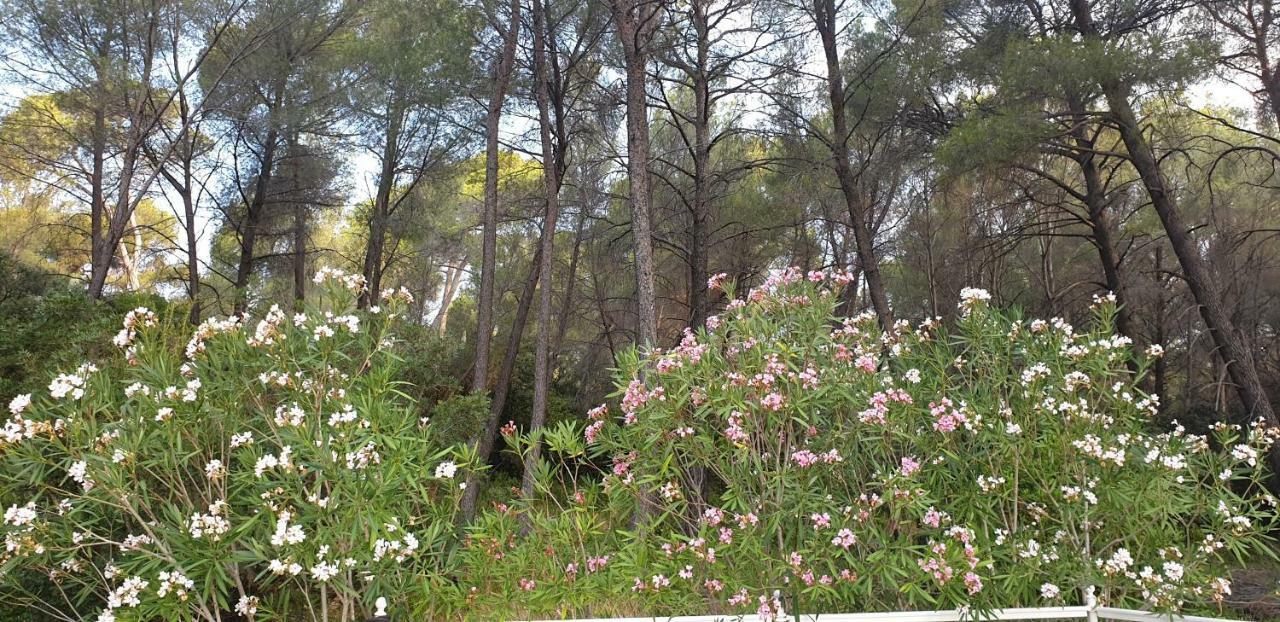 La Teze Villa Le Castellet  Eksteriør bilde