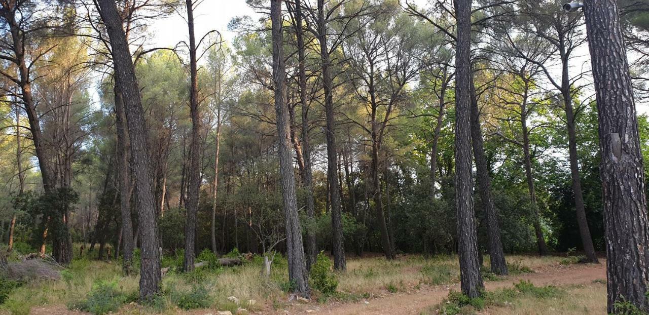 La Teze Villa Le Castellet  Eksteriør bilde